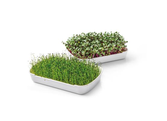 Tescoma Souprava pro pěstování microgreens SENSE